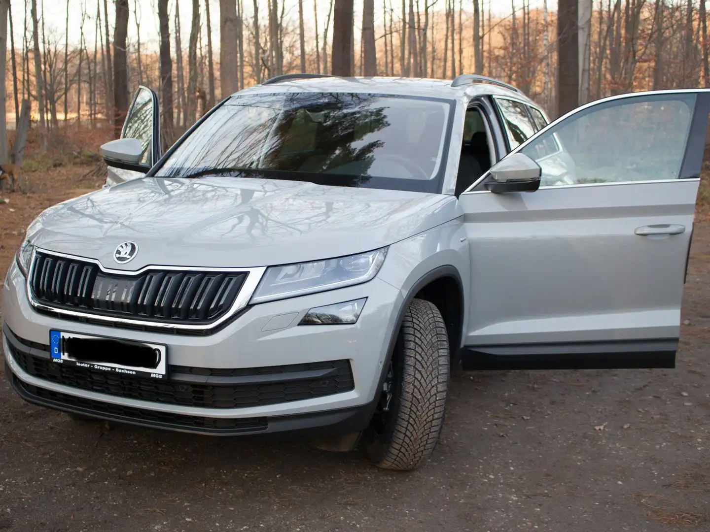 Skoda Kodiaq Kodiaq 1.5 TSI ACT DSG Drive 125 Grau - 1