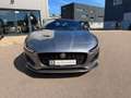 Jaguar F-Type F-TYPE Cabriolet First Edition RWD R Dynamic Grau - thumbnail 2