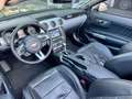 Ford Mustang MUSTANG CONVERTIBLE/PREMIUM PAKET Grau - thumbnail 10
