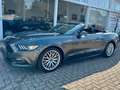 Ford Mustang MUSTANG CONVERTIBLE/PREMIUM PAKET Grau - thumbnail 2