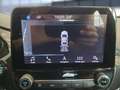 Ford Fiesta ST-Line Bluetooth Navi Klima Einparkhilfe Gris - thumbnail 9