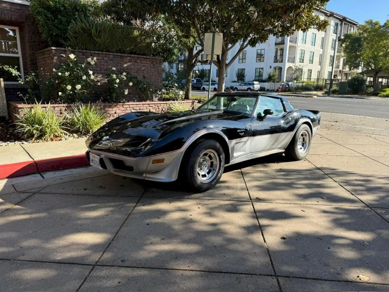 Chevrolet Corvette C3 Anniversary Edition, foto 12