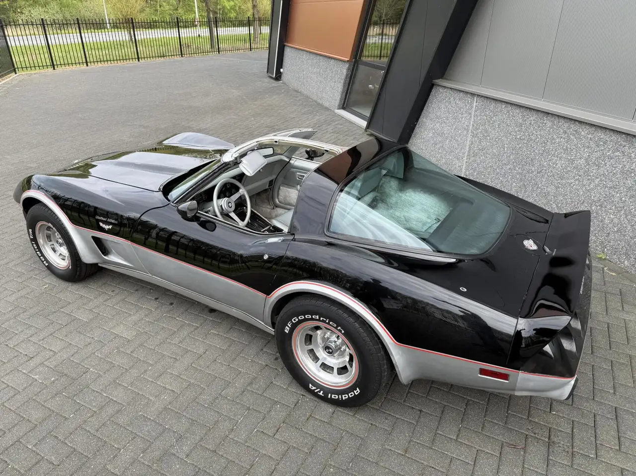 Chevrolet Corvette C3 Anniversary Edition, foto 10