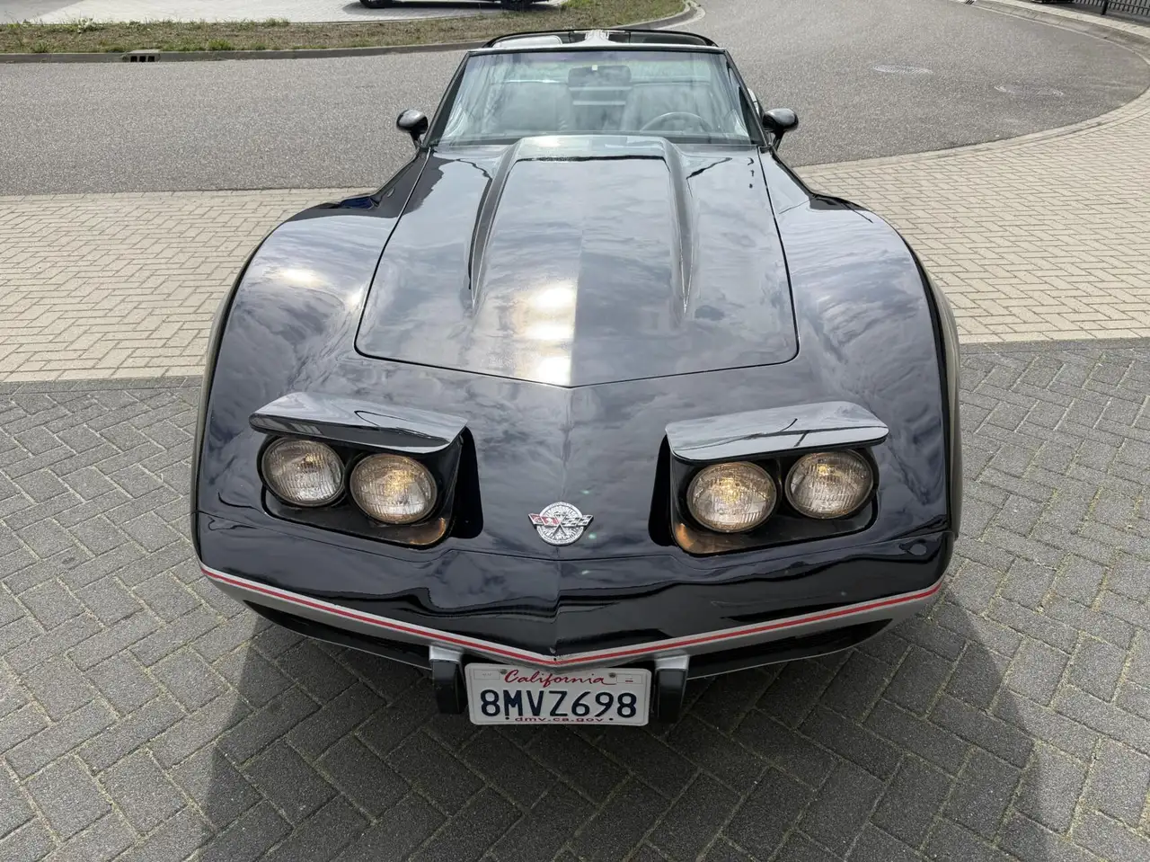 Chevrolet Corvette C3 Anniversary Edition, foto 11