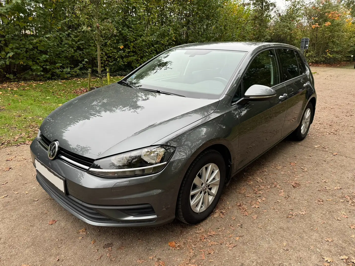 Volkswagen Golf Golf 1.6 TDI SCR Comfortline Grijs - 1