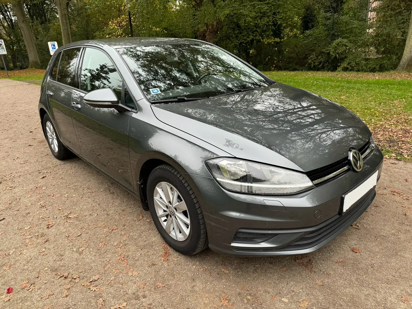 Volkswagen Golf Golf 1.6 TDI SCR Comfortline Grijs - 2
