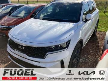 1.6 T-GDI DCT PHEV Platinum 4WD Pano|ACC|AHZV