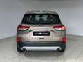 Ford Kuga Titanium Business 2wd 120cv Bronze - thumbnail 4