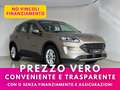 Ford Kuga Titanium Business 2wd 120cv Bronze - thumbnail 1