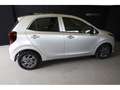 Kia Picanto Pulse Argent - thumbnail 12