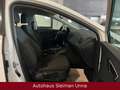 SEAT Leon ST Style 1,6 TDI/Navi/Xenon/Tüv-02-2027 Weiß - thumbnail 13