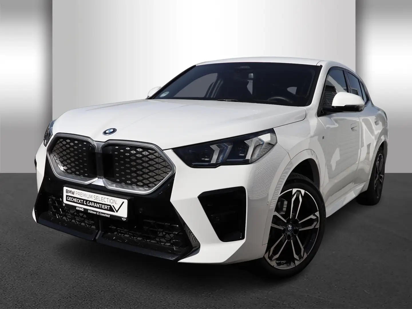 BMW iX2 ix2 xDrive30 Head-Up Adaptives Fahrwerk Alb - 2