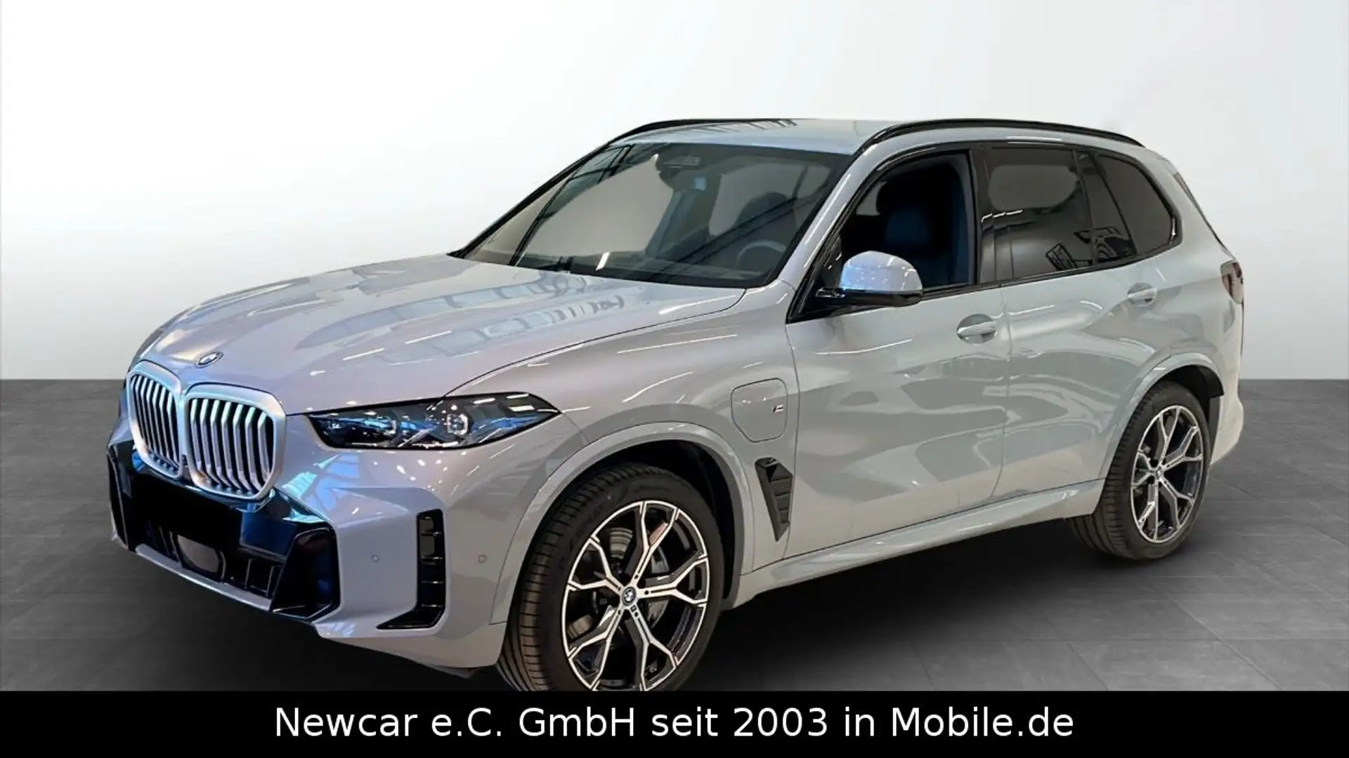 BMW X5 50e xDrive M Sportpaket*Innop.*DrivAss*ParkAs Grau - 1