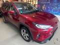 Toyota RAV 4 RAV4 Hybrid Lounge Panorama Rot - thumbnail 3
