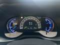 Toyota RAV 4 RAV4 Hybrid Lounge Panorama Rot - thumbnail 19