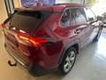 Toyota RAV 4 RAV4 Hybrid Lounge Panorama Rot - thumbnail 4