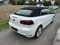 Volkswagen Golf Cabriolet *Exclusive*Navi*SHZ*Leder*LED*Tempomat*GARANTIE* Weiß - thumbnail 5