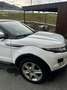 Land Rover Range Rover Evoque Pure 2,2 TD 4x4 - thumbnail 3