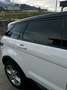 Land Rover Range Rover Evoque Pure 2,2 TD 4x4 - thumbnail 7