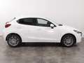 Mazda 2 1.5 m-hybrid exclusive-line 90cv Bianco - thumbnail 5