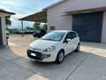 Fiat Grande Punto Evo 5p 1.3 mjt Dynamic s Neopatentati Blanc - thumbnail 1
