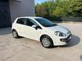 Fiat Grande Punto Evo 5p 1.3 mjt Dynamic s Neopatentati Blanc - thumbnail 7
