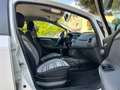 Fiat Grande Punto Evo 5p 1.3 mjt Dynamic s Neopatentati Blanc - thumbnail 12