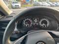 Skoda Kamiq Kamiq 1.0 TSI Ambition *PREZZO REALE NON VINCOLAT Wit - thumbnail 14