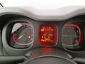 Fiat Panda III 2021 1.0 firefly hybrid City Cross s&s 70cv Bianco - thumbnail 12