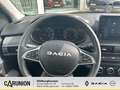 Dacia Sandero Stepway Extreme TCe 110 City-pakel,Navi, Sitzheizu Groen - thumbnail 10