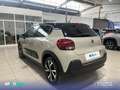 Citroen C3 PureTech 81KW (110CV) S&S Shine Beige - thumbnail 7