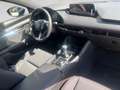 Mazda 3 2026 5HB 2.5L e-SKYACTIV G 140ps 6MT 2WD HO Grau - thumbnail 20