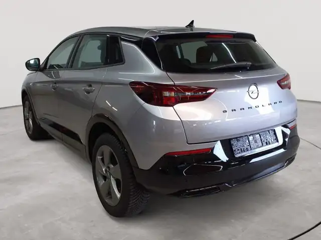 Opel Grandland view 5
