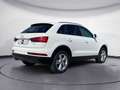 Audi Q3 2.0 tdi Business 120cv Blanco - thumbnail 5