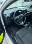 Kia Picanto Picanto 1,0 MPI Titan Titan Weiß - thumbnail 4