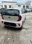 Kia Picanto Picanto 1,0 MPI Titan Titan Weiß - thumbnail 2
