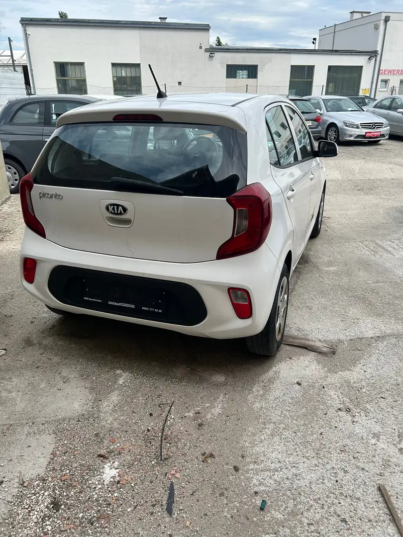 Kia Picanto Picanto 1,0 MPI Titan Titan Weiß - 2
