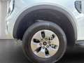 Ford Ranger XLT 2.3 EcoBoost PHEV DoKa e-4WD  *Aktionsangebot Weiß - thumbnail 9