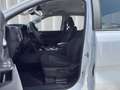 Ford Ranger XLT 2.3 EcoBoost PHEV DoKa e-4WD  *Aktionsangebot Weiß - thumbnail 10