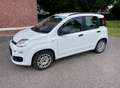 Fiat Panda 1.2 Blanc - thumbnail 2