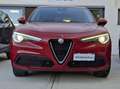 Alfa Romeo Stelvio Stelvio 2021 2.2 t Business Q4 190cv auto Rosso - thumbnail 2
