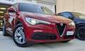 Alfa Romeo Stelvio Stelvio 2021 2.2 t Business Q4 190cv auto Rosso - thumbnail 7