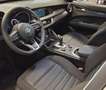 Alfa Romeo Stelvio Stelvio 2021 2.2 t Business Q4 190cv auto Rosso - thumbnail 10
