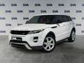 Land Rover Range Rover Evoque RR Evoque 1ª serie 2.2 TD4 5p. Dynamic - IVA ESPOS Bianco - thumbnail 2