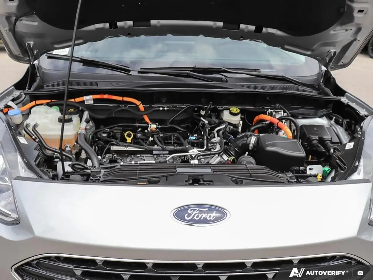 Ford Escape photo Ford Escape