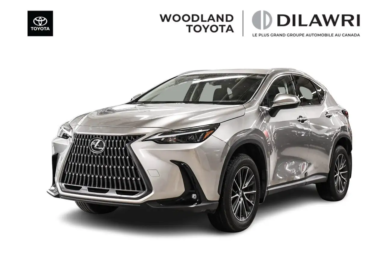 2024 Lexus NX