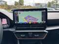 CUPRA Formentor VZ5 4Drive 2.5TSI DSG Grigio - thumbnail 11