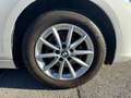 BMW 214 214d Active Tourer  ACTIVE TOURER F45 Lounge Blanco - thumbnail 24