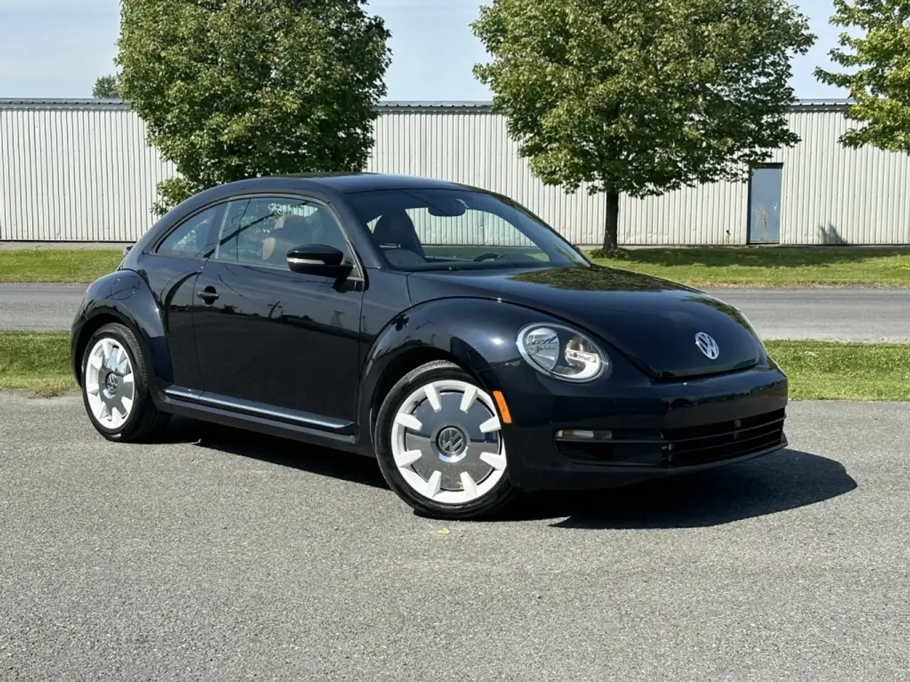 Volkswagen Beetle photo Volkswagen Beetle