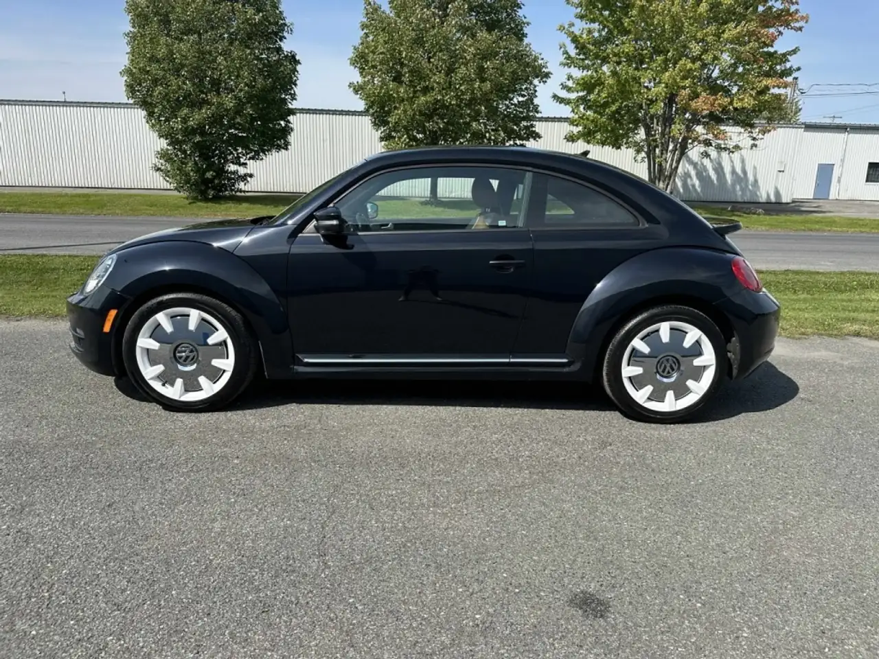 Volkswagen Beetle photo Volkswagen Beetle